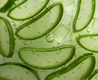 Aloe Barbadensis Extract (Aloe Vera)